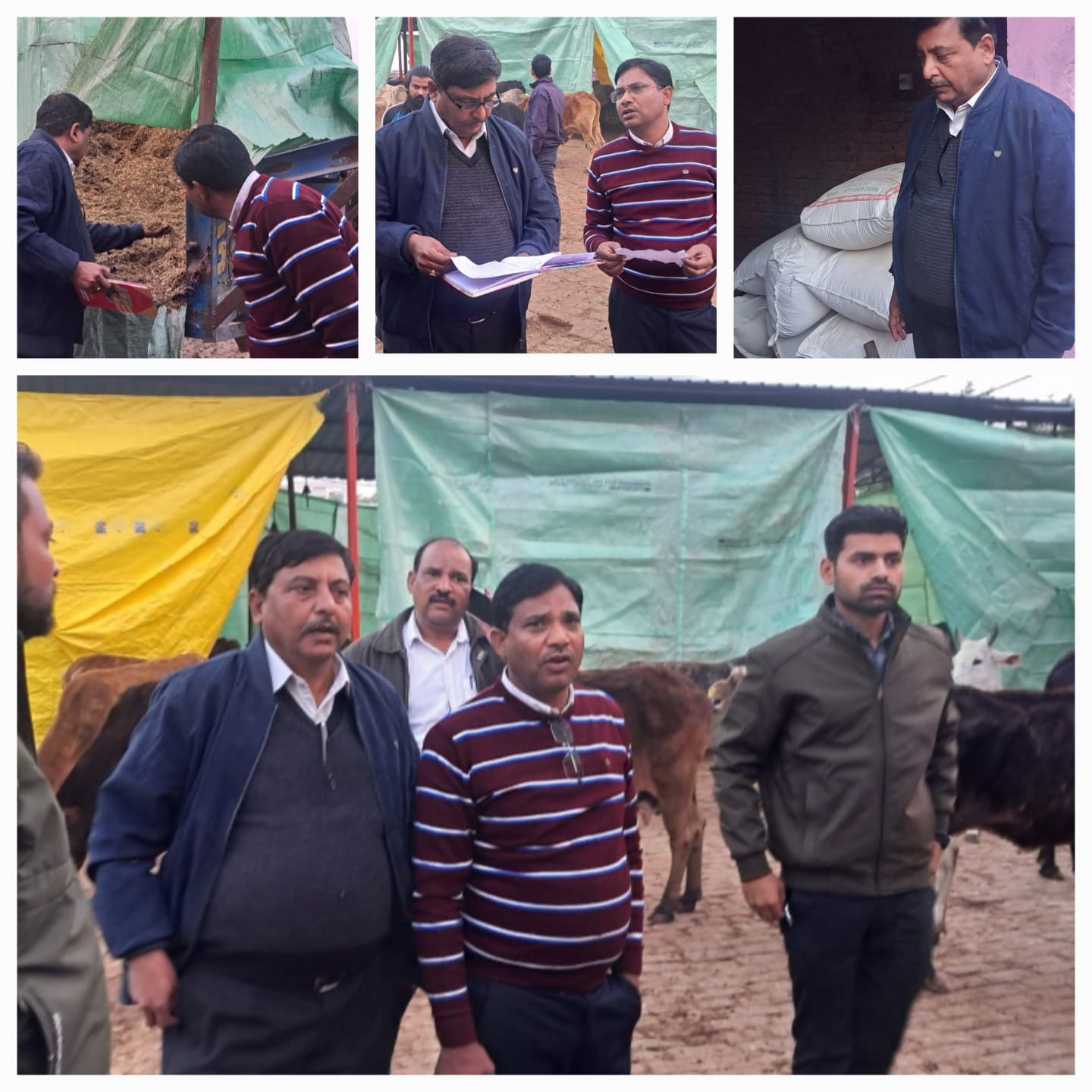 Naib Tehsildar did a surprise inspection of the cowshed